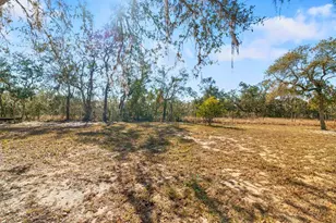 2910 Fast Trot Trail, Lake Wales, FL 33898 - Photo 21