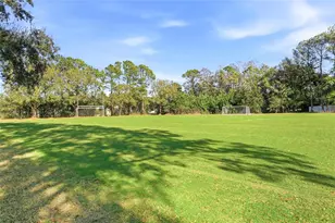 4092 Carlyle Lakes Blvd, Palm Harbor, FL 34685 - Photo 53
