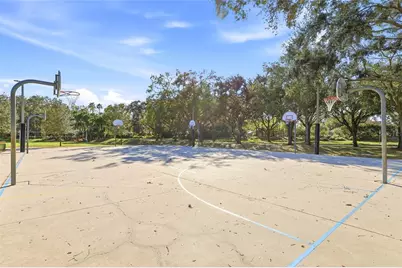 4092 Carlyle Lakes Boulevard, Palm Harbor, FL 34685 - Photo 71