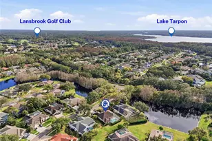 4092 Carlyle Lakes Blvd, Palm Harbor, FL 34685 - Photo 45