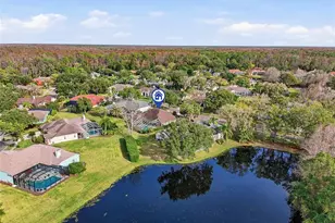 4092 Carlyle Lakes Blvd, Palm Harbor, FL 34685 - Photo 47