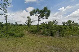 12068 Karney Ave, Port Charlotte, FL 33981 - Photo 9