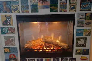 6801 Dali Ave, Land O Lakes, FL 34637 - Photo 11