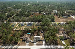 13124 Snowy Plover Ave, Weeki Wachee, FL 34614 - Photo 35