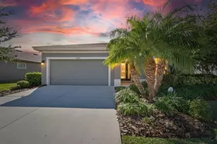 5427 Silver Sun Dr, Apollo Beach, FL 33572 - Photo 1