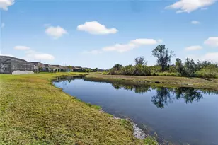 5427 Silver Sun Dr, Apollo Beach, FL 33572 - Photo 59