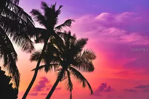 6363 99th Way N, Saint Petersburg, FL 33708 - Photo 69