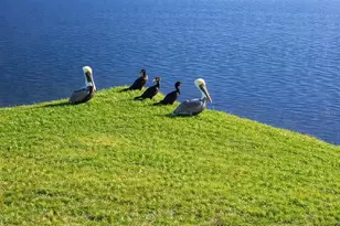 6363 99th Way N, Saint Petersburg, FL 33708 - Photo 7