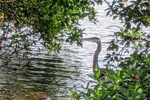 6363 99th Way N, Saint Petersburg, FL 33708 - Photo 45