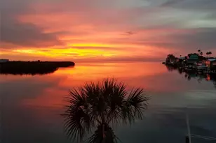 14603 McDonald Ln, Hudson, FL 34667 - Photo 67