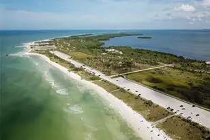 3505 Tarpon Woods Blvd, Palm Harbor, FL 34685 - Photo 49