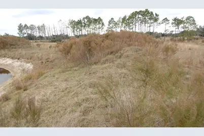 14780 Sugar Bowl Road, Myakka City, FL 34251 - Photo 43