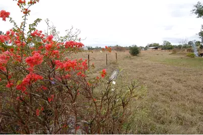 14780 Sugar Bowl Road, Myakka City, FL 34251 - Photo 51