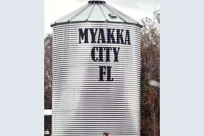 14780 Sugar Bowl Road, Myakka City, FL 34251 - Photo 5