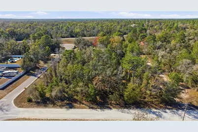 12217 House Finch Road, Weeki Wachee, FL 34614 - Photo 3