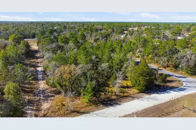 12246 Millington Avenue, Brooksville, FL 34614 - Photo 3