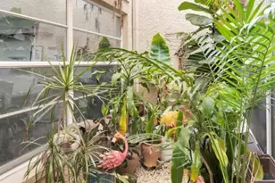 3837 Darston St, Palm Harbor, FL 34685 - Photo 35