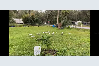 2805 Cr 423, Lake Panasoffkee, FL 33538 - Photo 3
