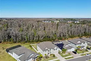 19328 Eagle Crk Ln, Tampa, FL 33647 - Photo 87