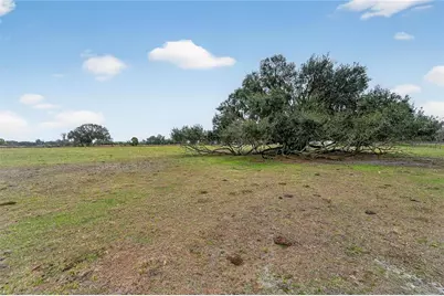 Horseshoe Hills Place, Plant City, FL 33566 - Photo 29