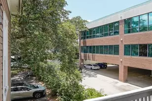 333 S Plant Ave, Tampa, FL 33606 - Photo 63