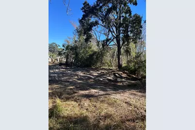 5927 Lynn Road, Tampa, FL 33624 - Photo 3