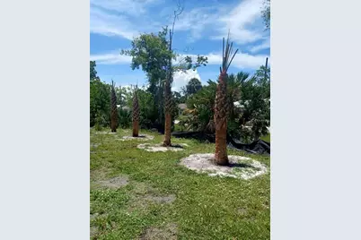 Lin Gina Terrace, Edgewater, FL 32141 - Photo 3