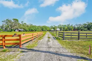 2635 N Dover Rd, Dover, FL 33527 - Photo 67