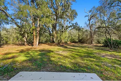 34071 Madison Avenue, Ridge Manor, FL 33523 - Photo 35