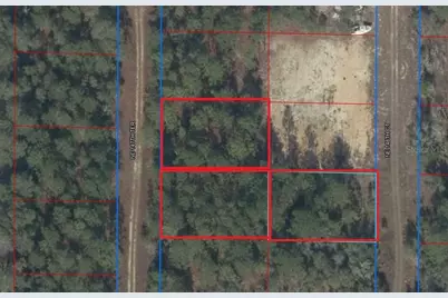 Tbd NE 147th Terrace, Williston, FL 32696 - Photo 3