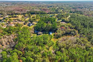 24748 Oaks Blvd, Land O Lakes, FL 34639 - Photo 23