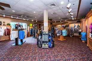 34539 Merion Ct, Dade City, FL 33525 - Photo 57