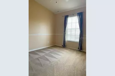 1135 Baronscourt Drive, Wesley Chapel, FL 33543 - Photo 19