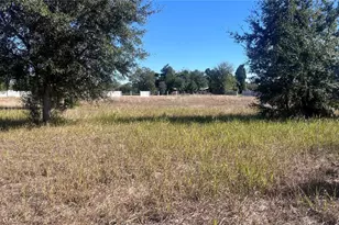 13415 Cocopah Ln, Dover, FL 33527 - Photo 1