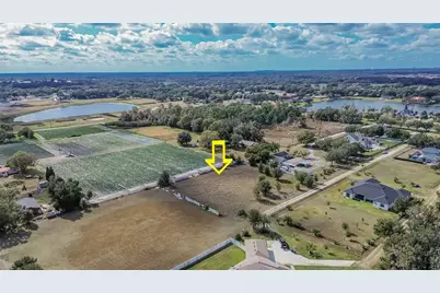 13415 Cocopah Lane, Dover, FL 33527 - Photo 3