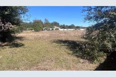 13415 Cocopah Lane, Dover, FL 33527 - Photo 9