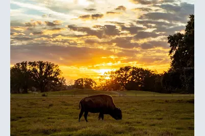 3200 River Ranch Boulevard #225, River Ranch, FL 33867 - Photo 17