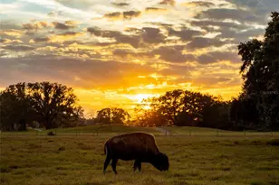 3200 River Ranch Blvd, River Ranch, FL 33867 - Photo 17