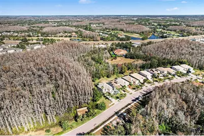 10812 Cory Lake Drive, Tampa, FL 33647 - Photo 35