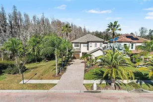 10812 Cory Lake Dr, Tampa, FL 33647 - Photo 33