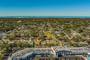 1790 E Orangeside Rd, Palm Harbor, FL 34683 - Photo 67