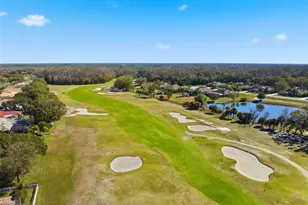 3150 Sterling St, Tarpon Springs, FL 34688 - Photo 65