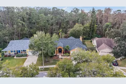 19607 Wyndham Lakes Drive, Odessa, FL 33556 - Photo 41