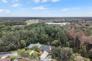 19607 Wyndham Lakes Dr, Odessa, FL 33556 - Photo 43