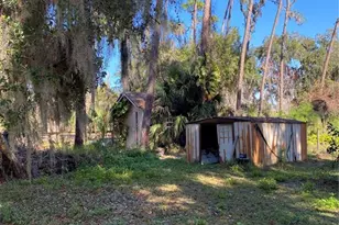 31018 Cove Rd, Tavares, FL 32778 - Photo 23