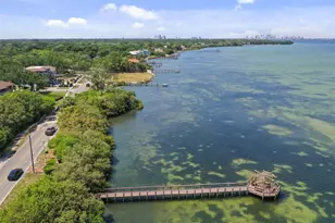 2858 Bayshore Trails Dr, Tampa, FL 33611 - Photo 51