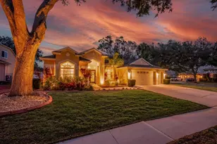 12537 River Birch Dr, Riverview, FL 33569 - Photo 39