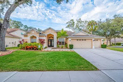 12537 River Birch Drive, Riverview, FL 33569 - Photo 47