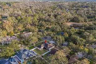 12537 River Birch Dr, Riverview, FL 33569 - Photo 55