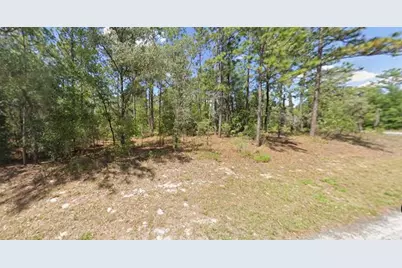 2795 W Rutland Drive, Citrus Springs, FL 34433 - Photo 3